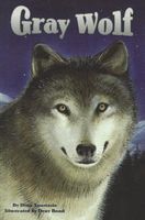 Gray Wolf