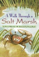 A Walk Through a Salt Marsh