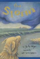 Cover of The Storm by Judy Nayer