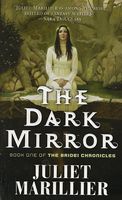 The Dark Mirror