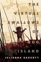 The Virtual Swallows of Hog Island
