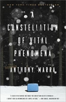 A Constellation of Vital Phenomena