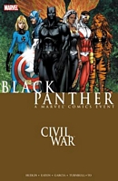 Civil War: Black Panther