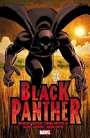 Black Panther: Who Is the Black Panther?