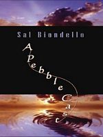 Sal Biondello's Latest Book