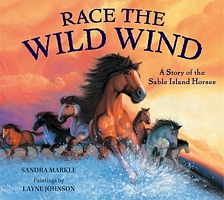 Race the Wild Wind: A Story of the Sable Island Horses