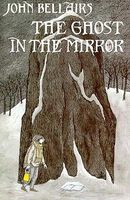 The Ghost in the Mirror