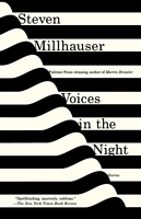 Voices in the Night: Stories