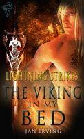 The Viking in My Bed book cover