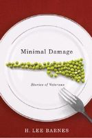 Minimal Damage: Stories of Veterans