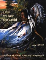 Cover of How We Saw the World by C.J. Taylor