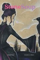 Paperback edition cover