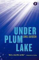 Under Plum Lake