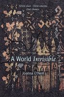 A World Invisible
