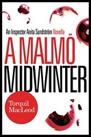 A Malmo Midwinter