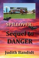 Cover of Sequel to Danger by Judith Bandidt