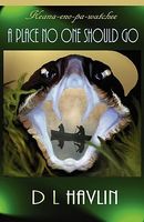 Cover of A Place No One Should Go by D.L. Havlin