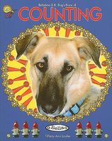 Cover of Bellaboo & B-Bug's Book of Counting by Tiffany A. Laufer