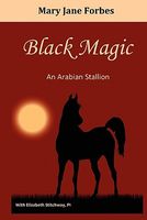 Black Magic, an Arabian Stallion