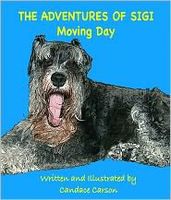 eBook edition cover