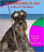 eBook edition cover