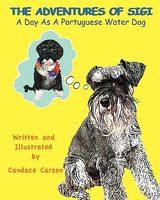 Paperback edition cover