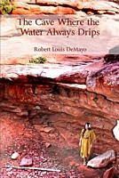 Paperback edition cover