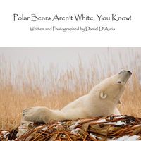 Polar Bears Aren't White, You Know!