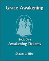 Awakening Dreams