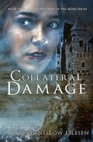 Cover of Collateral Damage by Susan Staneslow Olesen