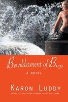 Cover of Bewilderment of Boys by Karon Luddy