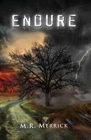 Cover of Endure by M.R. Merrick