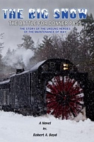 eBook edition cover