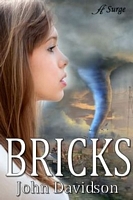 Cover of Bricks by John Davidson