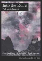 Cover of Into the Ruins by Lawrence Buentello