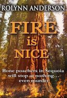 eBook edition cover