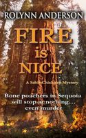 Paperback edition cover