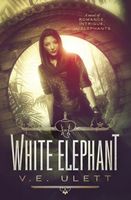 V.E. Ulett's Latest Book