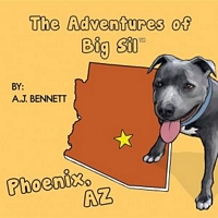 eBook edition cover