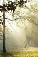 Cover of Finding Bigfoot and Other Stories by Susan Lindsley