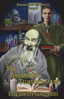 The Assassin's Twisted Path