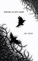 Cover of Sometimes We Don't Escape by Jae Mazer