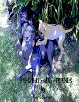 Cover of Precious and Her Friends by Berni Seever
