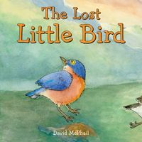 The Lost Little Bird