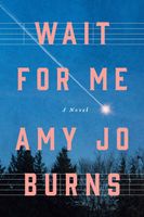 Amy Jo Burns's Latest Book