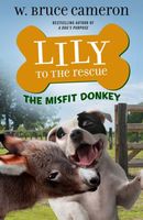 The Misfit Donkey