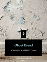 Camilla Grudova's Latest Book