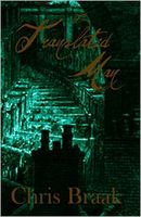 Cover of The Translated Man and Other Stories by Chris Braak