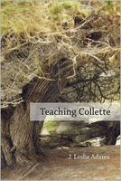 eBook edition cover