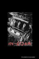 Cover of In-Roam by Velerion Damarke